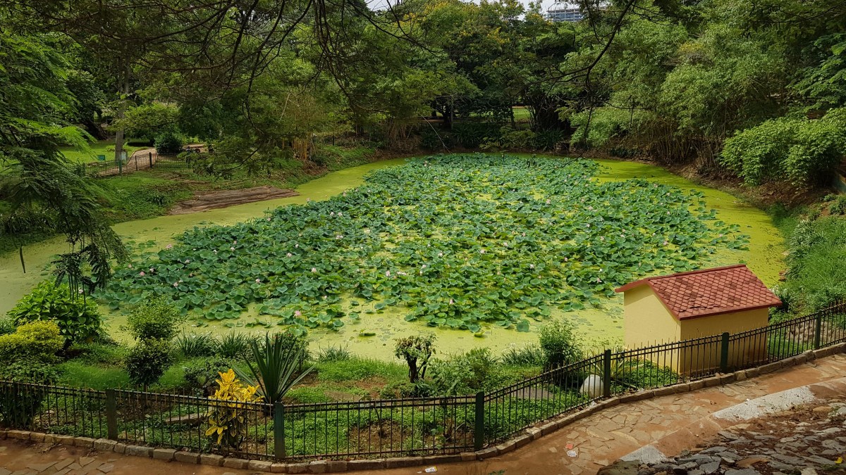 Lalbagh Botanical Gardens