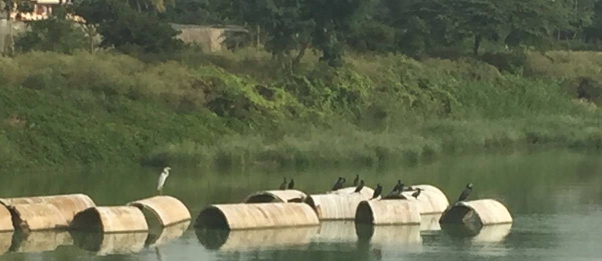 Tom’s Tales: My Walk to&nbsp;Work