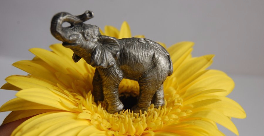 Melissa’s Musings: A Period of&nbsp;Adjustment