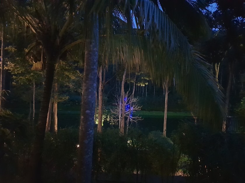 Amaana Resort Tinkly lights