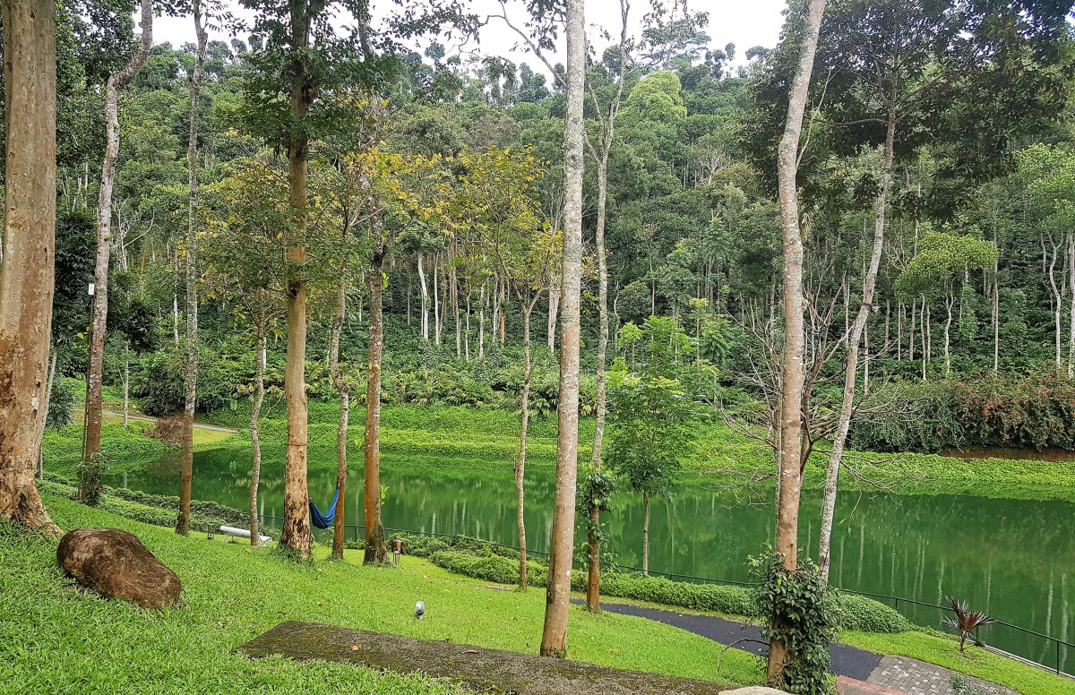 Review: Amaana Plantation&nbsp;Resort