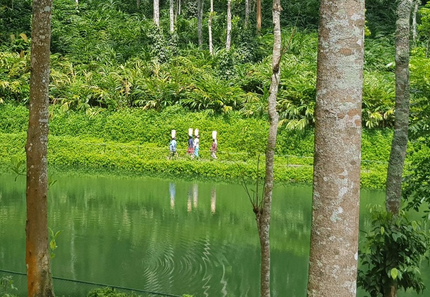 Amaana Resorts workers