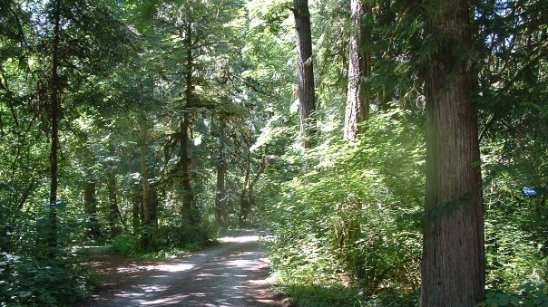 Tom’s Tales: Religious Tourism and Other&nbsp;Notions