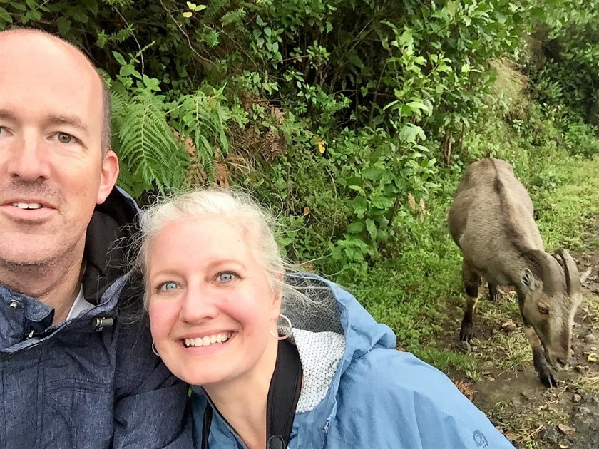 Eravikulum tahr selfie