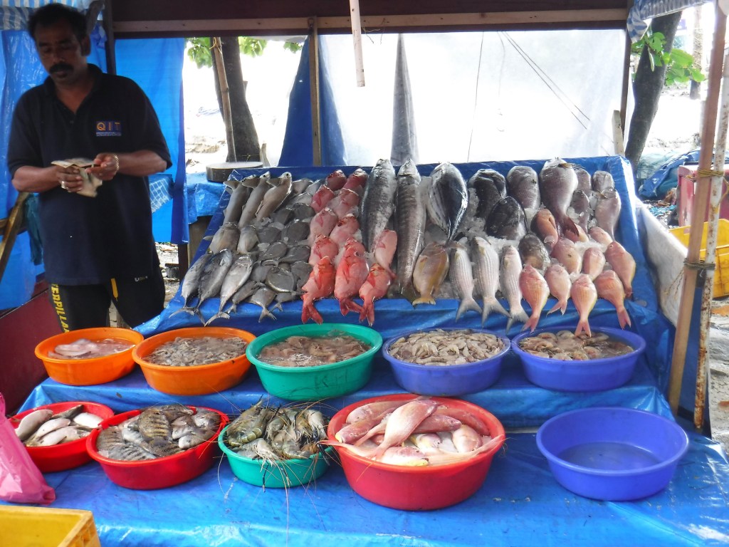 Kochi fish – Wellserton Wanderings
