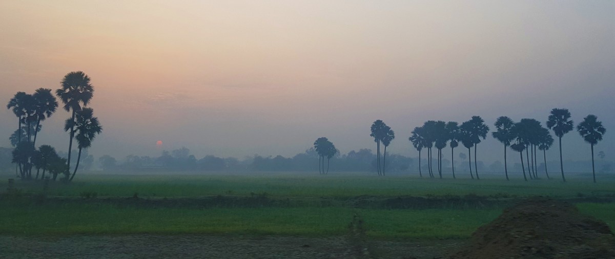 Melissa’s Musings: Bihar is creating a future worthy of its&nbsp;past