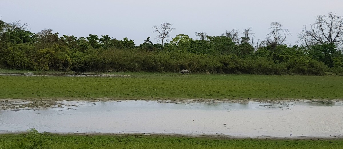 Spring Break in&nbsp;Assam!