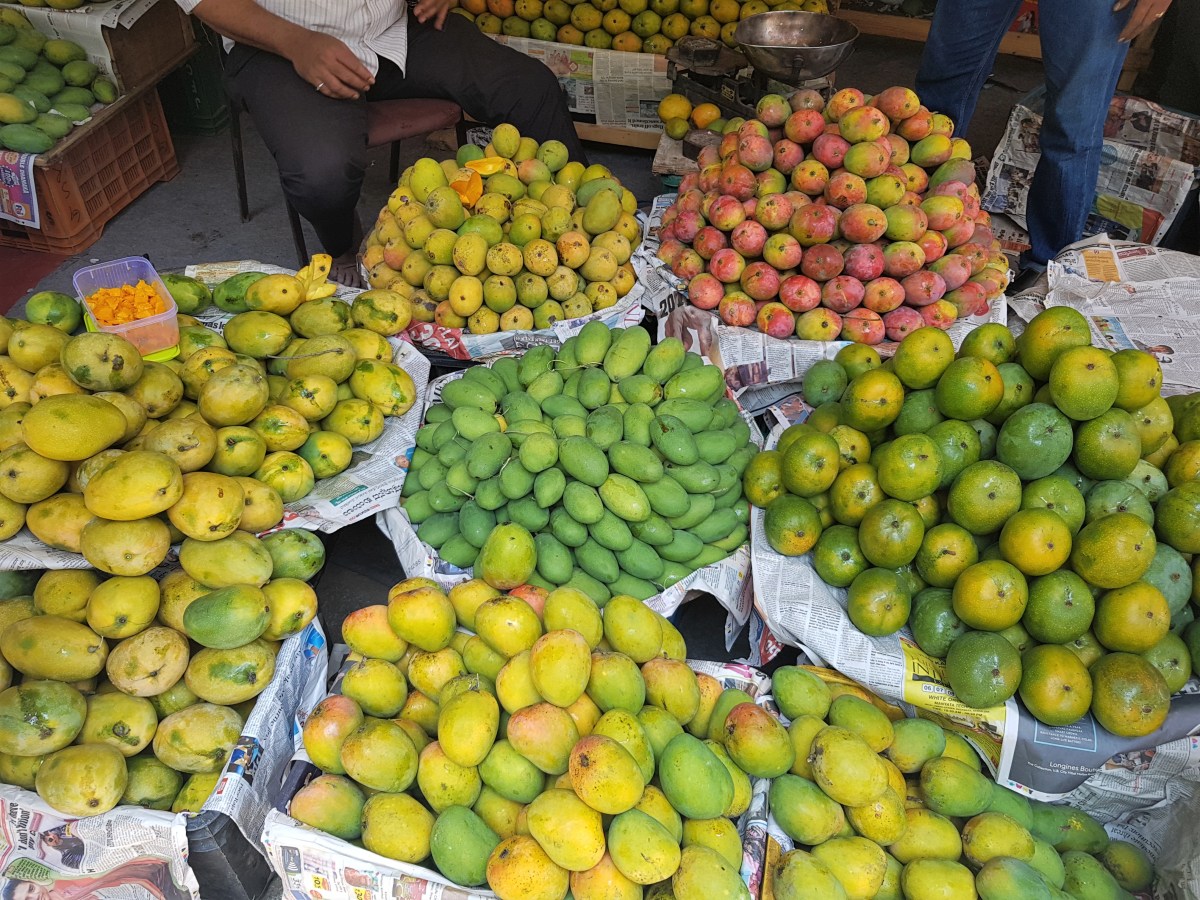 It’s Mango Season!