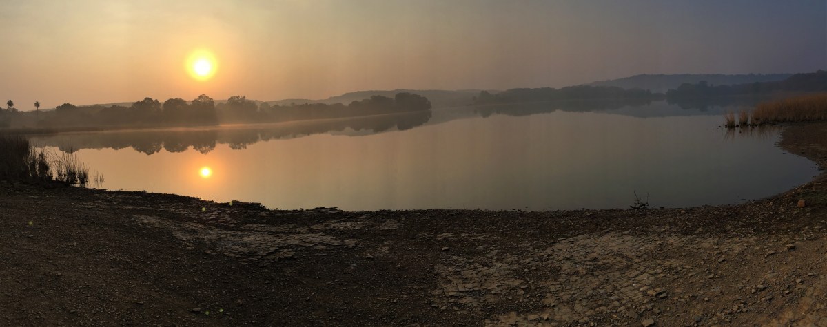 Christmas in Ranthambhore