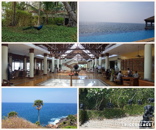 Collage 2019-04-29 13_44_44